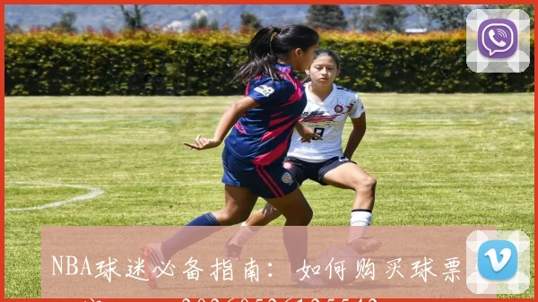 NBA球迷必备指南：如何购买球票与观赛攻略_20260526125542