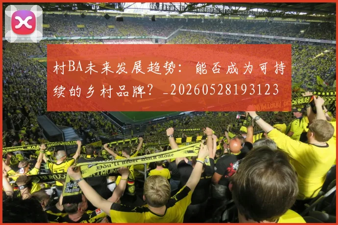 村BA未来发展趋势:能否成为可持续的乡村品牌?_20260528193123